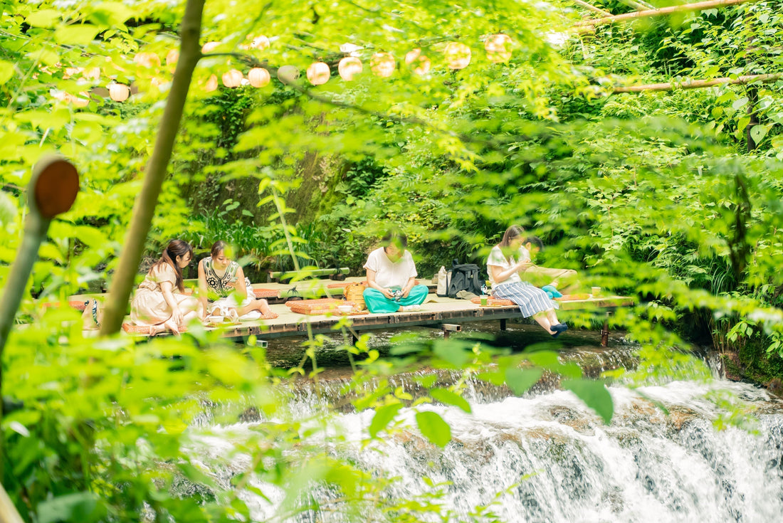 Lessons from the Japanese Way of Life: Mindful Habits for Balance and Vitality | Try Try Japan