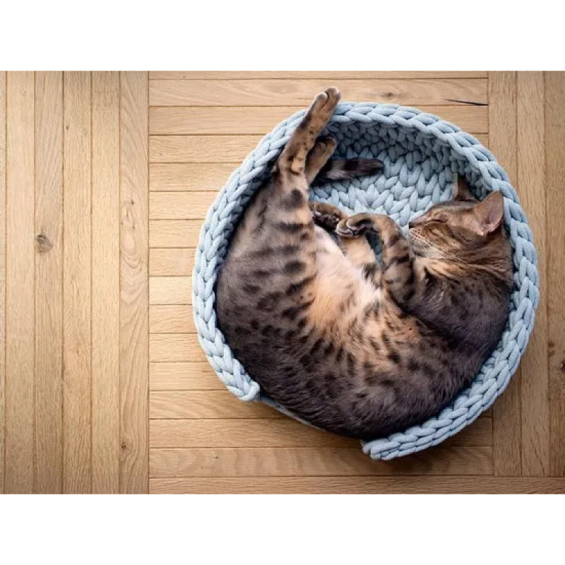 DressUP Wearable Cat Bed - Ice Blue