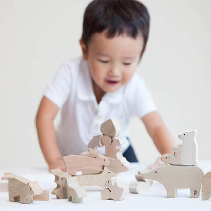 Japanese Hardwood Animal Building Blocks & Puzzle Set